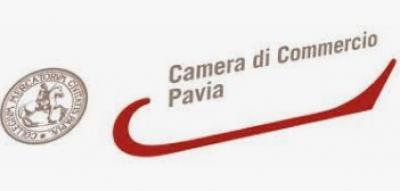 News_Camera_di_Commercio_di_Pavia_Pubblicazione_del_provvedimento_di_avvio_del_procedimento_di_iscrizione_d_ufficio_della_cancellazione_dei_domicili_digitali_inattivi_delle_imprese_individuali